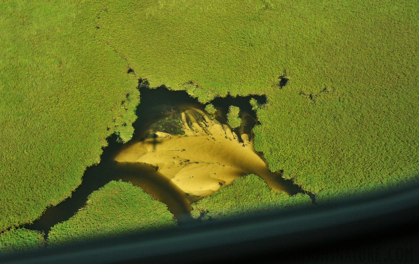 Okavango Delta Mai 2014 [44 mm, 1/3200 Sek. bei f / 8.0, ISO 2500]